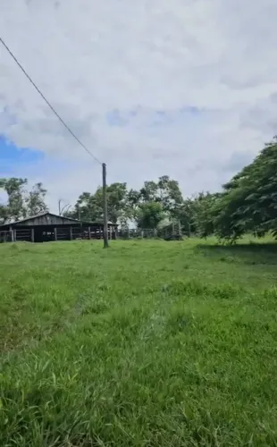 Propriedade rural à venda  Região de Jaci  Excelente oportunidade para investimento no agr