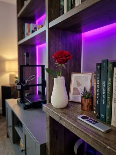 Vaso Moderno em Espiral 3D (Ideal para Sala))