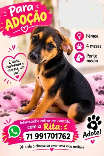 Adoção responsável de filhote de cachorro 