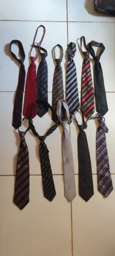 Gravatas diversas R$: 20 reais cada