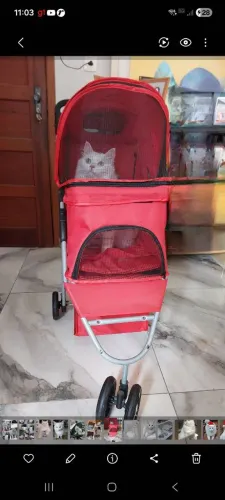 Carrinho para Pets/ Gato ou cachorro