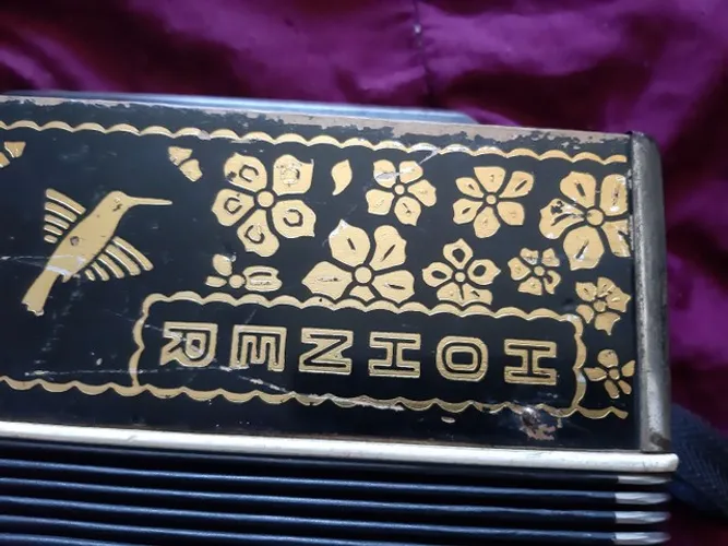 Pé de bode . Acordeon raro vend troc