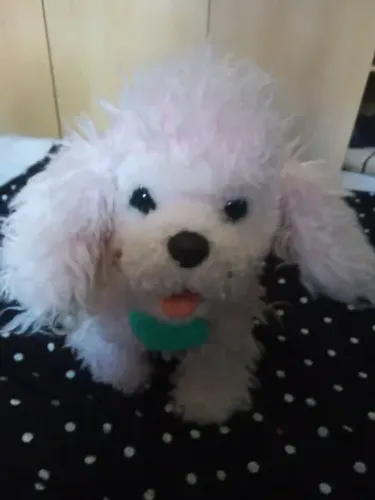 Cachorrinho com son e movimento em ótimo estado funciona perfeitamente