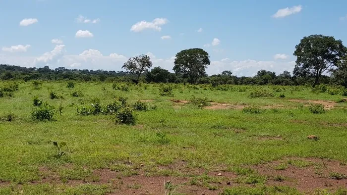 Fazenda de 180 alq município de Porangatu-GO