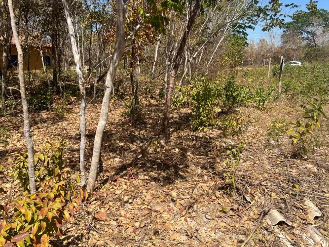 Lote rio Araguaia itacaiu