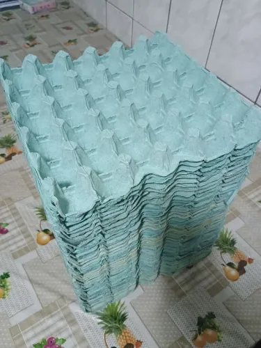 Cartela para 30 ovos