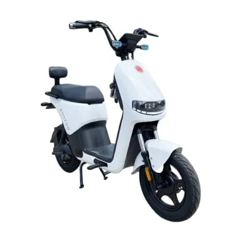 MOTO ELETRICA FOSTON X15 MAX