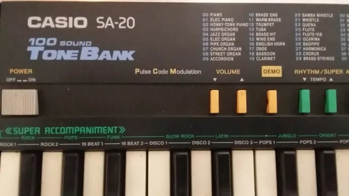 Teclado Casio Sa-20 100 Sound Tone Bank Classico