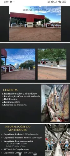 Frigorifico no MS. Abate 1.200 bois por dia, R$: 300 milhões de reais
