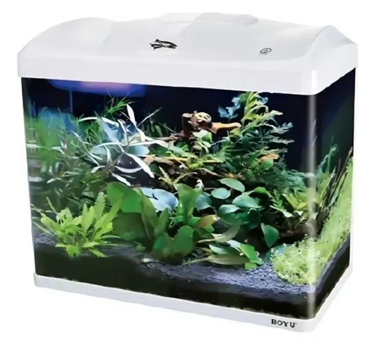 Aquario Curvo Boyu EC-600 66 litros