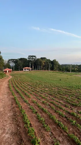 FAZENDA 26 alq 
