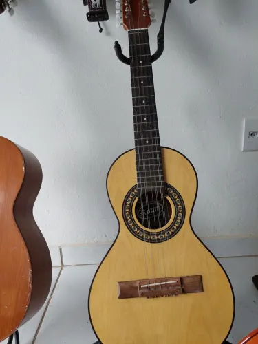 Viola