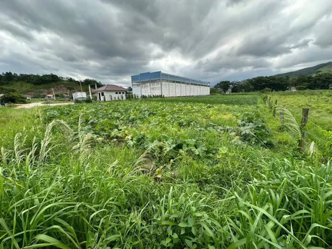 Terreno à venda no Centro - Antônio Carlos/SC