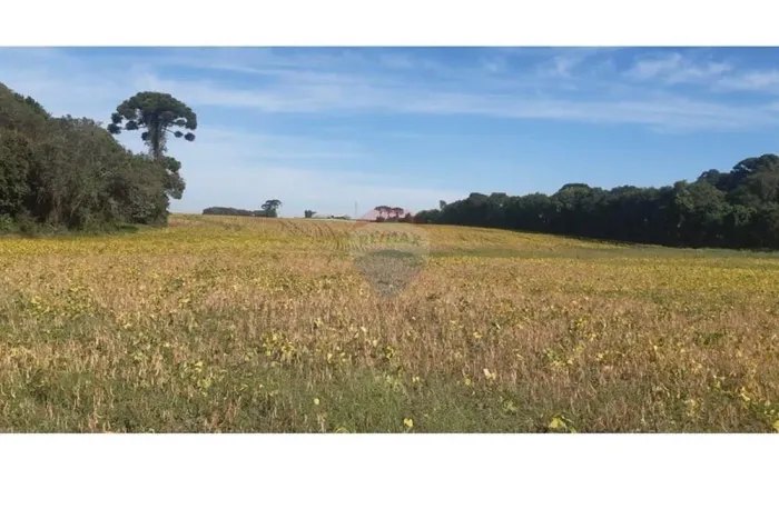 Área Comercial/Industrial. Campo Largo da Roseira. São Jose Dos Pinhais