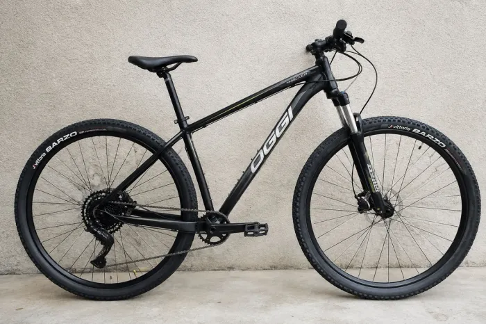 Bicicleta aro 29