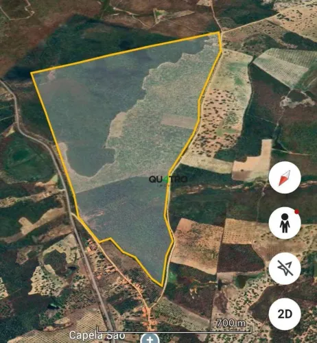 Excelente Oportunidade: Fazenda Produtiva com 170 Hectares às Margens da CE-464