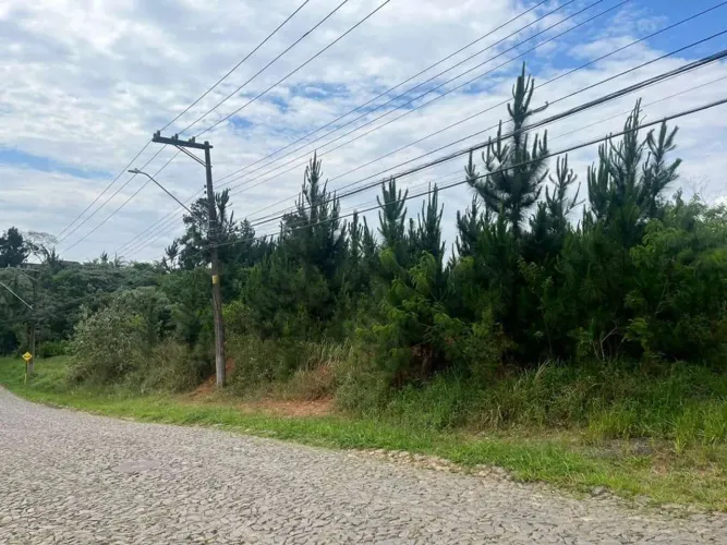 Área à venda, 4973 m² por R$ 2.500.000,00 - Granja Viana - Cotia/SP