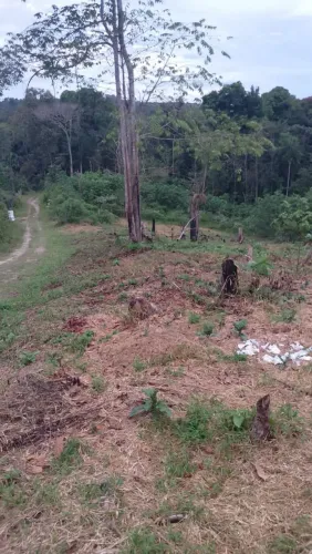 Terreno no Ramal do brasileirinho - Na vila do machadinho