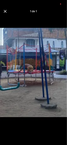 Pula pula cama elastica