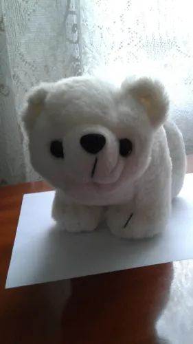Urso Polar de pelúcia