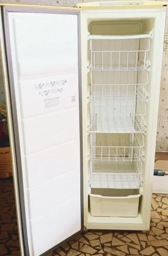 Freezer vertical 220v