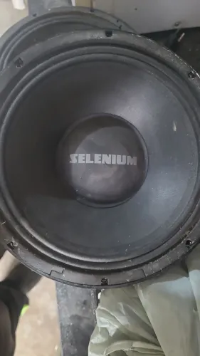 Medio grave 10" profissional seleniun