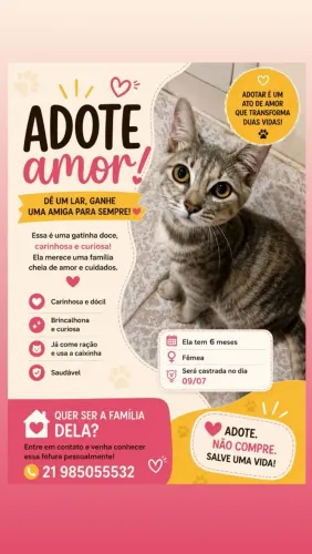 Gatinha pra adoção