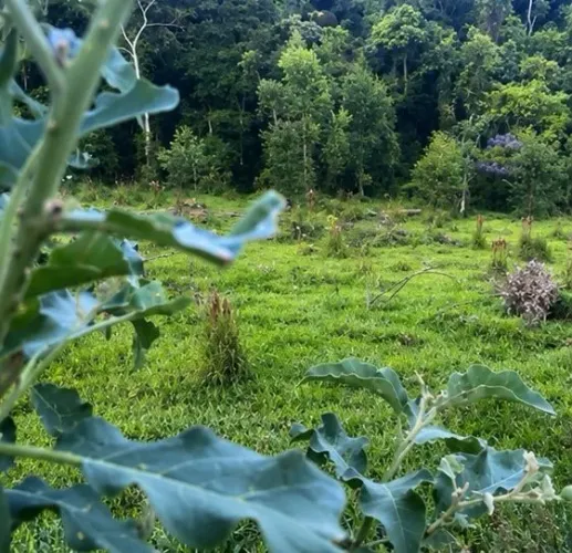 TERRENO EM IGARATÁ 1000 M² RESIDENCIAL ENCONTRO DAS ÁGUAS