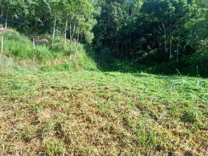 Terreno para venda tem 629 metros quadrados em Varginha - Santo Amaro da Imperatriz - SC