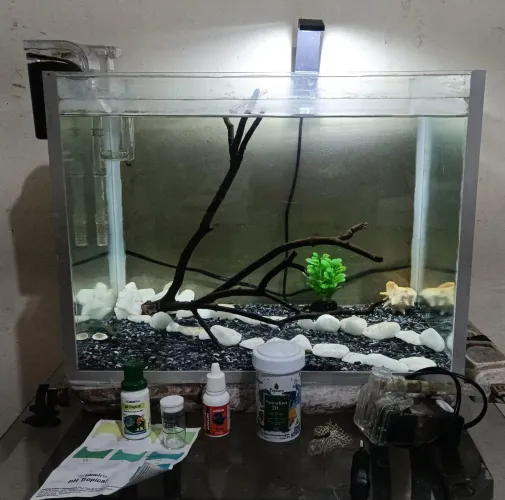 Aquário 50 litros vai com tudo que está na foto
