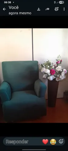Vendo uma poltrona
