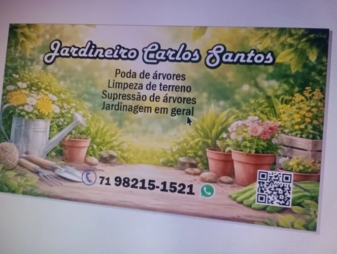 Faço limpeza de terreno, aplicação de veneno em mato em geral