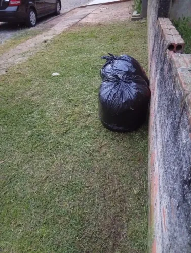 Jardinagem