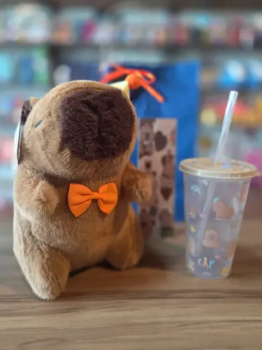 Kit pelúcia capivara