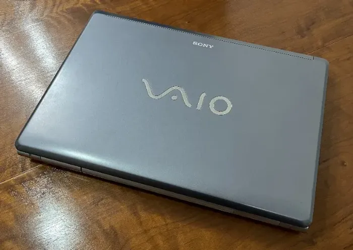 Notebook Sony Vaio VGN-FW31M