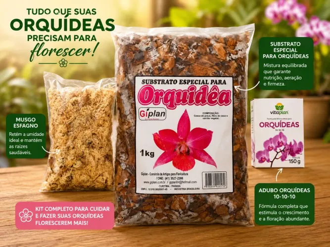 Kit completo orquídea, vasos, substrato e fertilizante