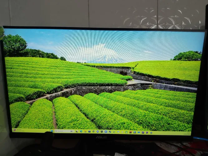 Monitor