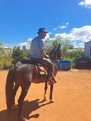 Cavalo bom de sela 