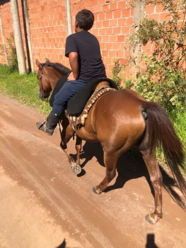 Interessados chamar no privado