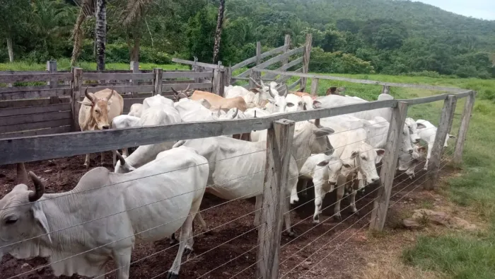Vendo chácara 