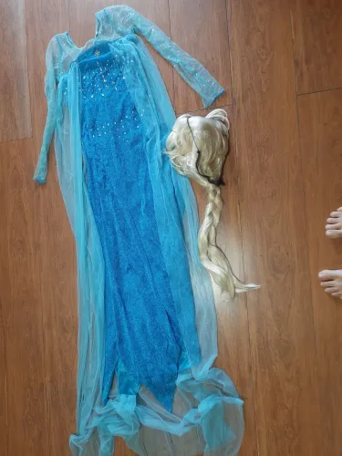Fantasias da Frozen 