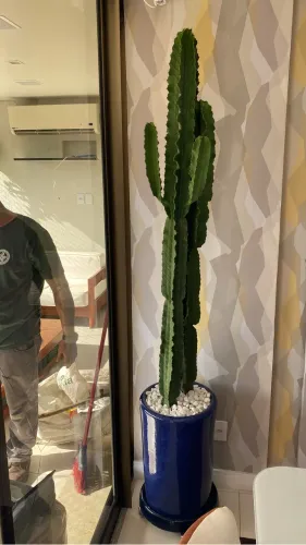 Vaso Vietnamita Cerâmica