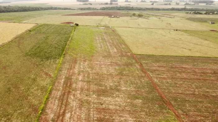 VENDA OU TROCA CHACARA POR COLHEITADEIRA