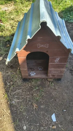 Casinha para PET