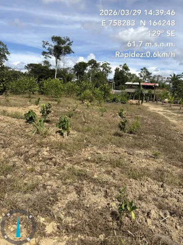 FAZENDA A VENDA CARACARAI ITA