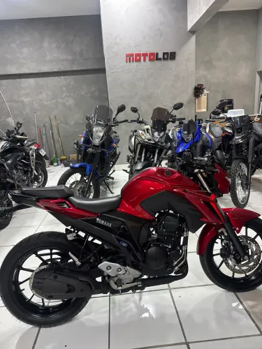 FZ25 2024/2025