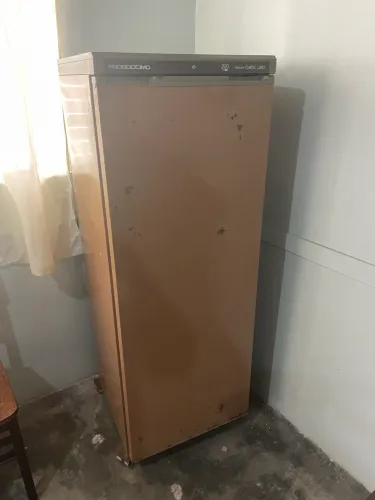 Freezer vertical