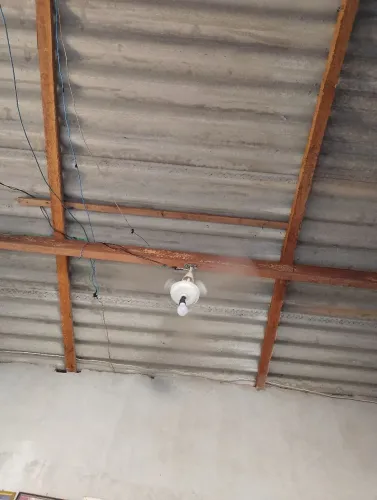 Ventilador d teto