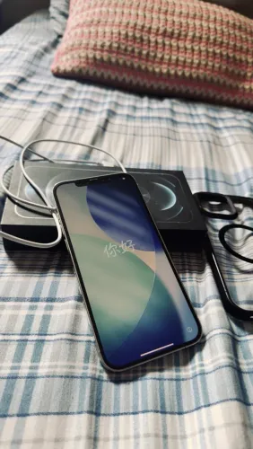 iPhone 12 Pro Max - Silver