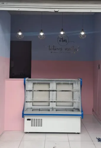 Estou vendendo um freezer expositor. Está em ótimo estado,pouco usado.Ele é 220wl .